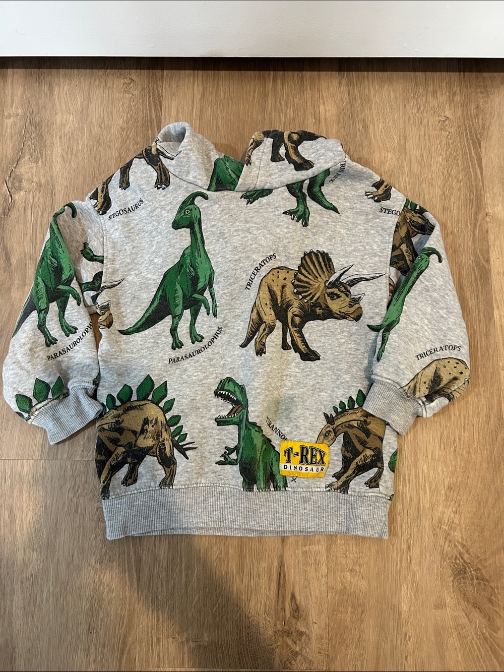 H&M Grey Hoodie with Green & Brown Dinosaur Print